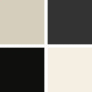 Gil Cagnè Eyeshadows (trousse 4 colori) 105 Optical Balck & White - Baldan Group - *