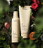 Aveda Color Conserve Conditioner