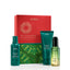 Aveda Botanical Repair & Miraculous Oil Set