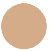 Aveda Make-up Inner Light™ mineral tinted moisture